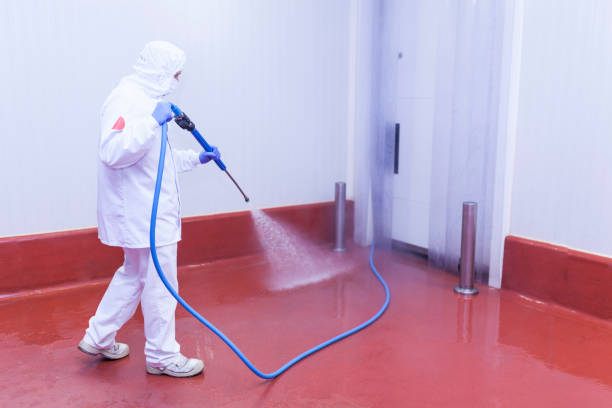 Best Restaurant Pressure Washing  in Monument Beach, MA